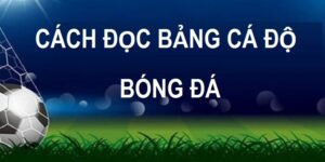 cách đọc bảng cá độ bóng đá