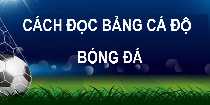 cách đọc bảng cá độ bóng đá