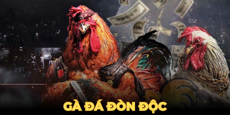 đá gà đòn độc thumb