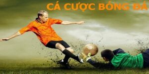 hướng dẫn cá cược bóng đá online thumb