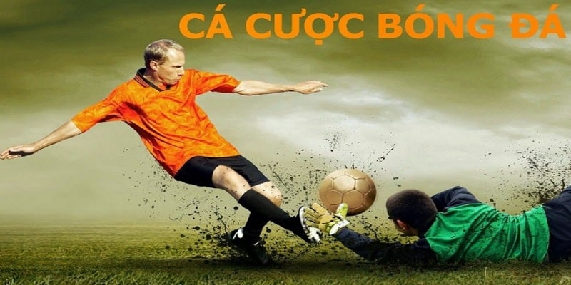 hướng dẫn cá cược bóng đá online thumb