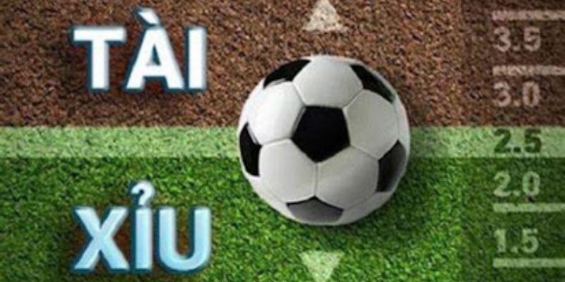 Kèo Tài Xỉu Faco777 - Cách Tính Toán và Dự Đoán Chính Xác 3 Kèo tài xỉu được chia thành nhiều mức độ khác nhau
