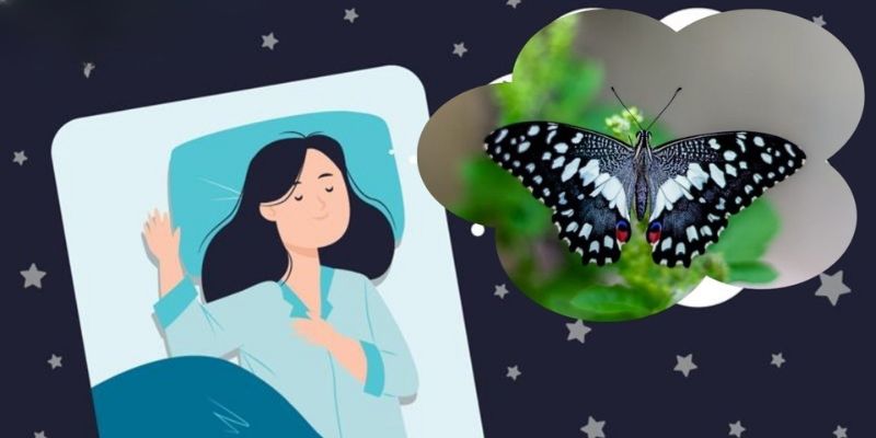 Giải Mã Giấc Mơ Thấy Bướm - Dự Báo Tương Lai Cùng Faco777 3 Ý nghĩa của những giấc mộng thấy bướm phổ biến